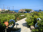 house-surrounding-01.jpg