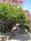 house-surrounding-02.jpg