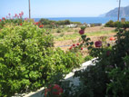 house-surrounding-07.jpg