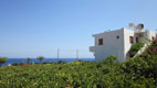 house-surrounding-12.jpg