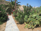 seaside-garden-02.jpg