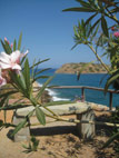 seaside-garden-03.jpg