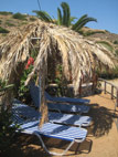 seaside-garden-06.jpg