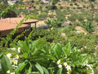 view-from-upstairs-03.jpg