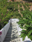 view-from-upstairs-04.jpg